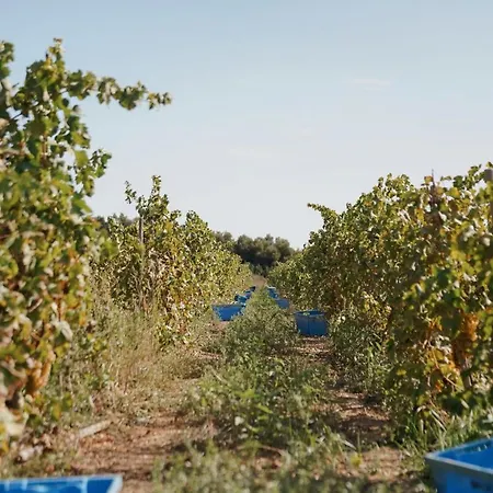 Son Brull & - Relais & Chateaux Hotel Pollença