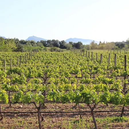 Son Brull & - Relais & Chateaux 5*