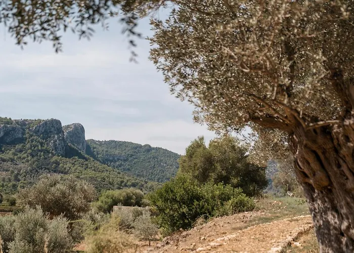 Son Brull & - Relais & Chateaux Ξενοδοχείο Pollença