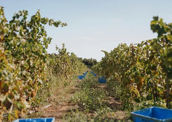 Son Brull & - Relais & Chateaux Ξενοδοχείο Pollença