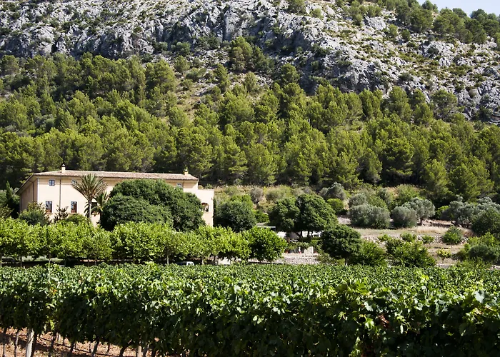 Ξενοδοχείο Son Brull & - Relais & Chateaux 5*