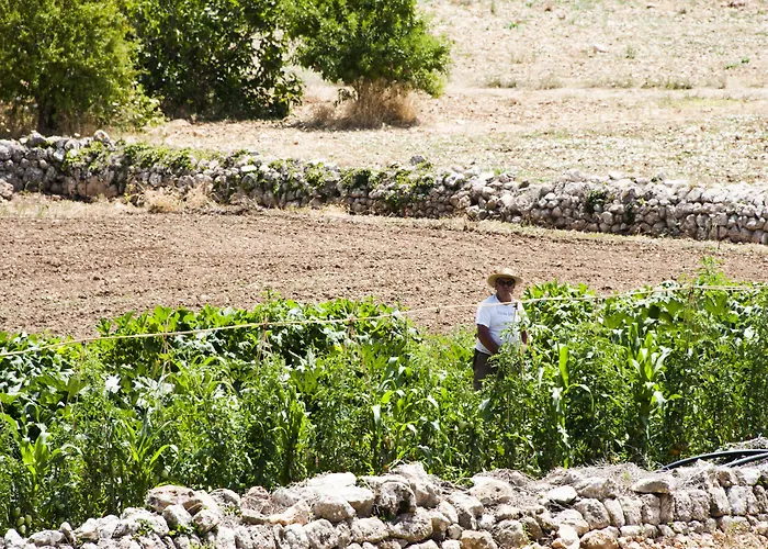 Son Brull Hotel&spa - Relais&chateaux 5*