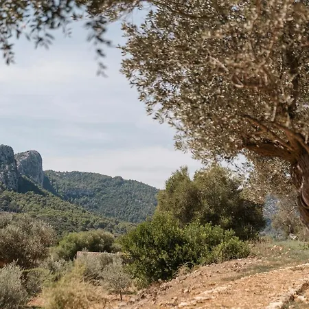 Son Brull & Otel Pollença