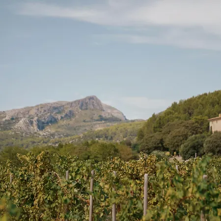 Son Brull & - Relais & Chateaux Hotel 5*