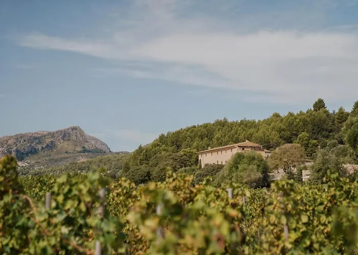 Son Brull & - Relais & Chateaux 5*