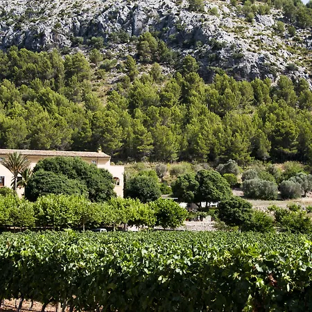 Ξενοδοχείο Son Brull & - Relais & Chateaux 5*