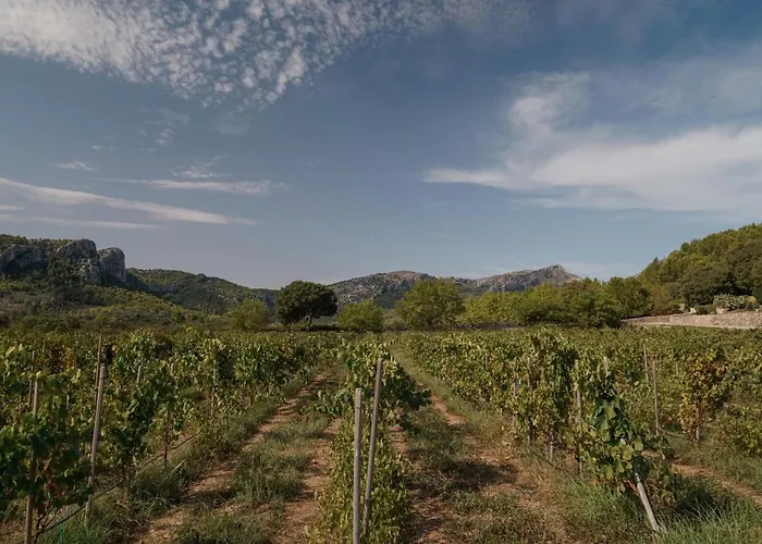 Son Brull & - Relais & Chateaux 5* Pollença