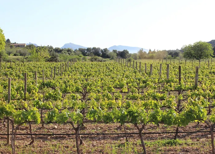 Son Brull & - Relais & Chateaux 5*